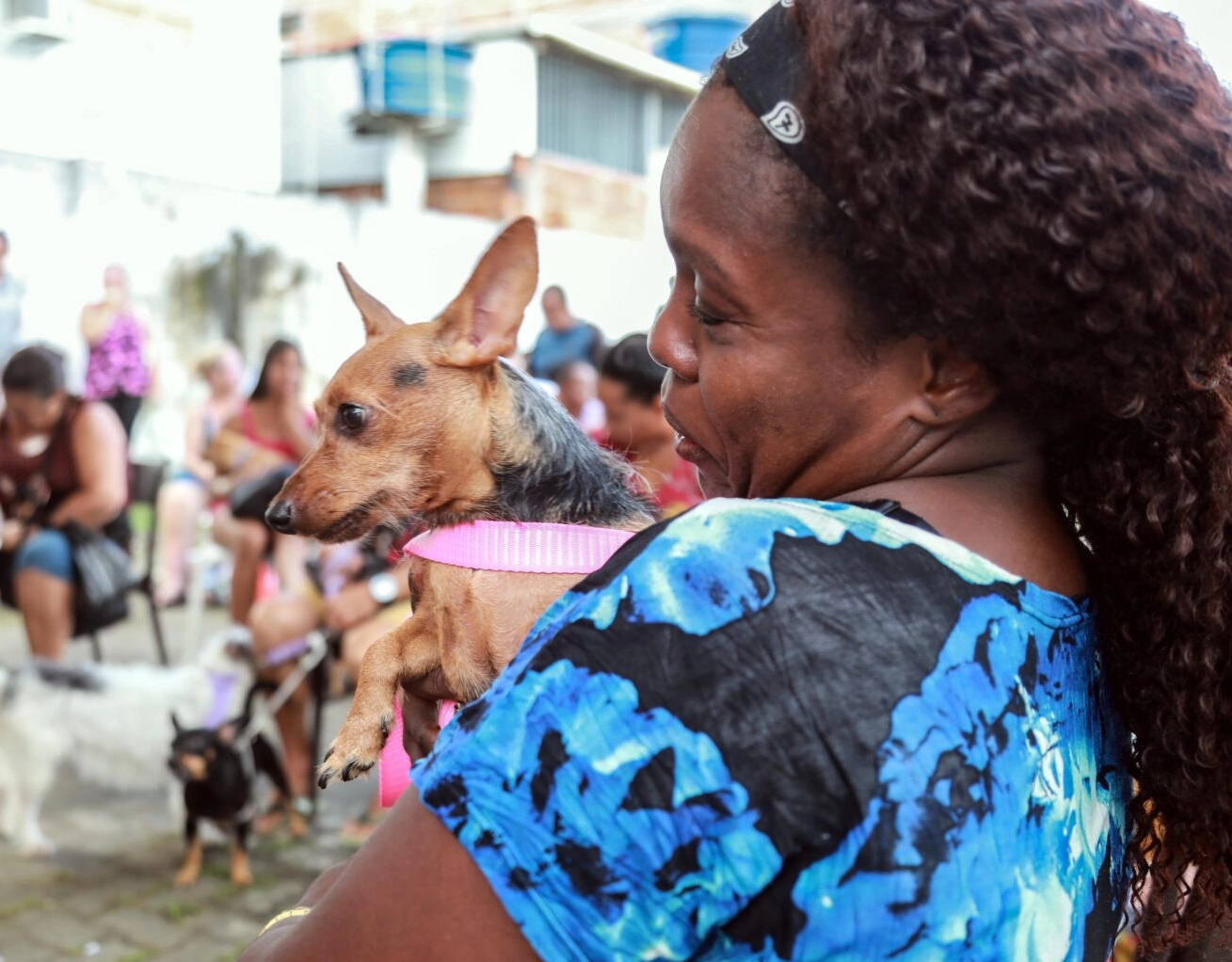 Unidade de castração atende gratuitamente animais da região de Cajazeiras; saiba mais