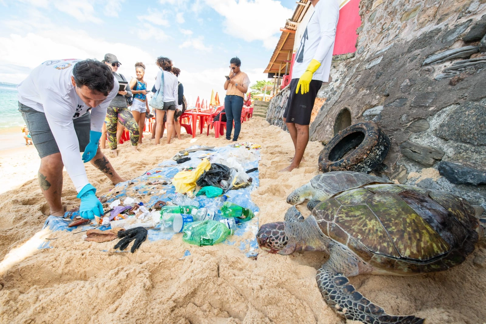 Projeto de Lei que incentiva cultura oceânica nas escolas é aprovado, em Salvador