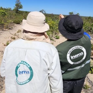 Bahia reduz desmatamento no cerrado em 52,4%