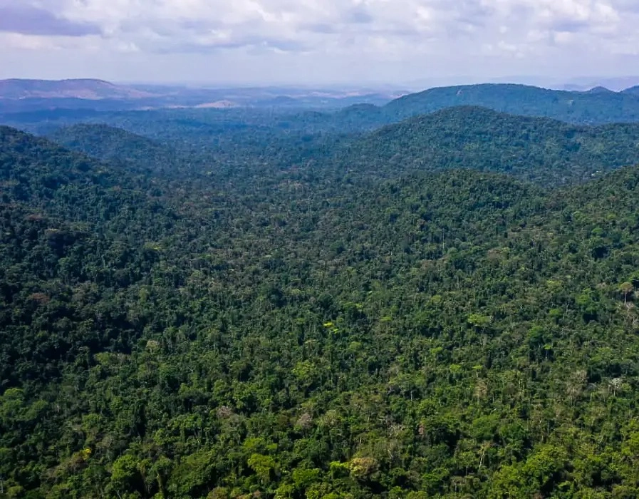 Cumprimento do Acordo de Paris vai além da Amazônia, aponta relatório