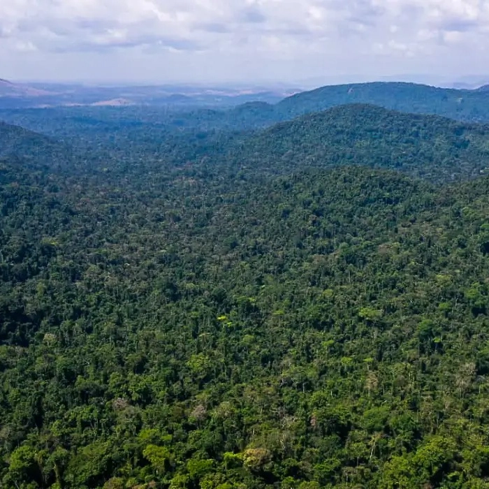 Cumprimento do Acordo de Paris vai além da Amazônia, aponta relatório