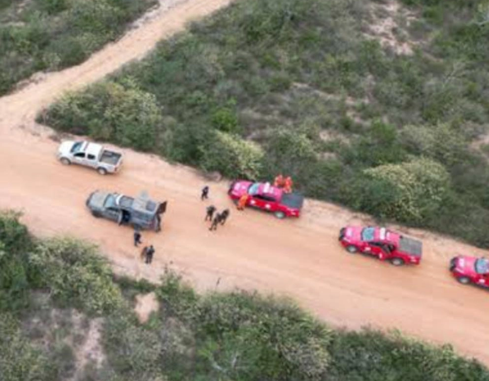 Cães farejadores ajudam em busca de trabalhadores da zona rural que desapareceram há 14 dias