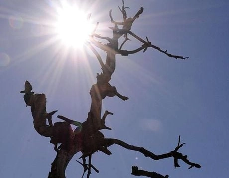 Oeste da Bahia pode sofrer aumento de até 5ºC na temperatura nesta semana