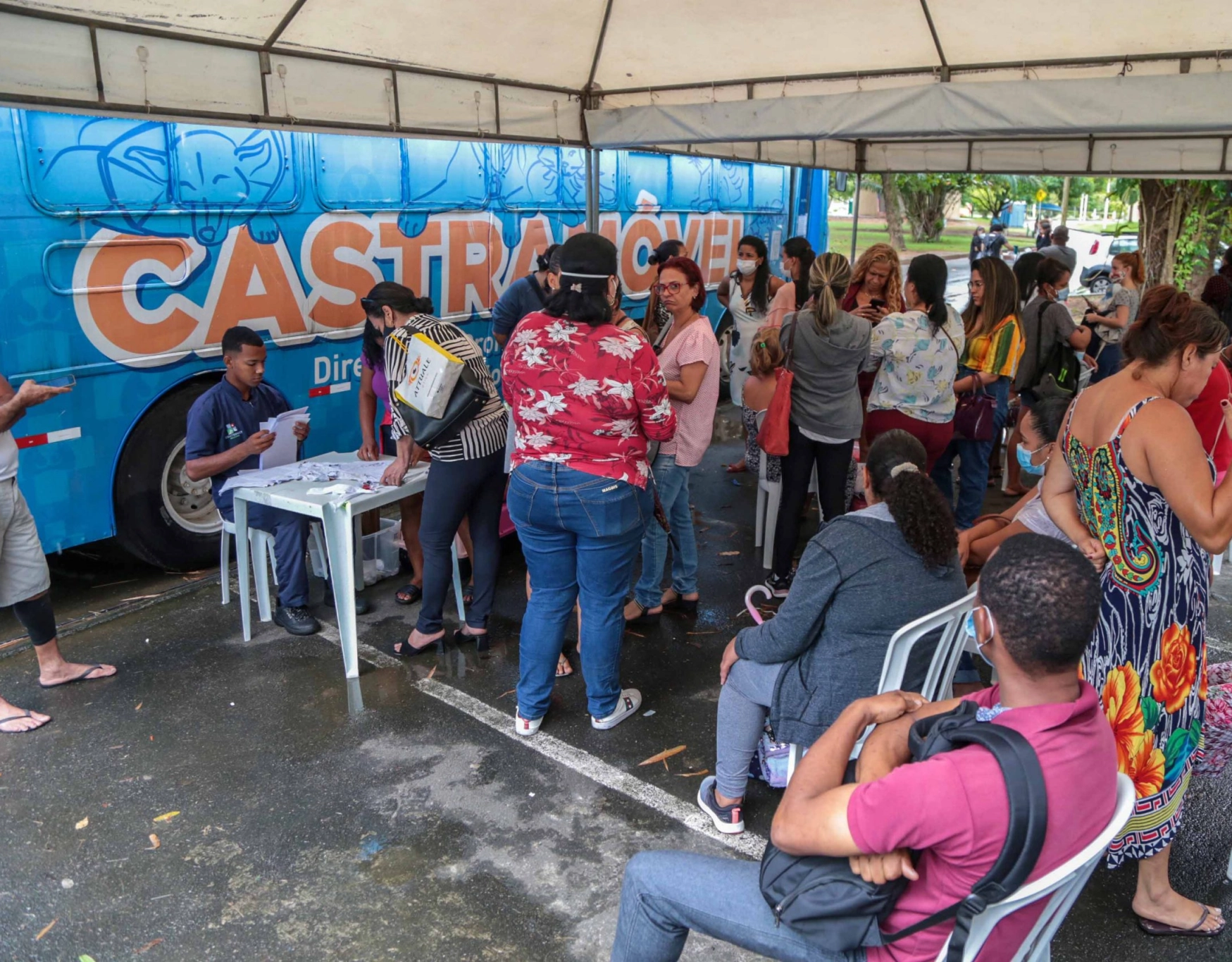 Castramóvel em Pirajá realiza castrações de cães e gatos até 2 de maio