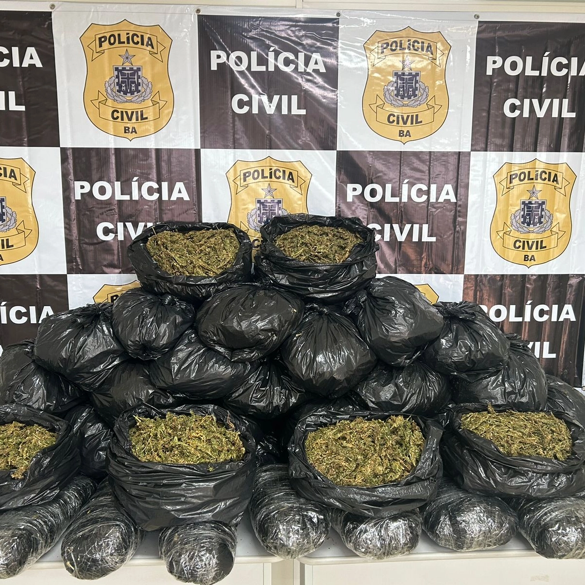 Após ação em hotel de luxo de Salvador polícia apreende mais de 40 quilos de maconha