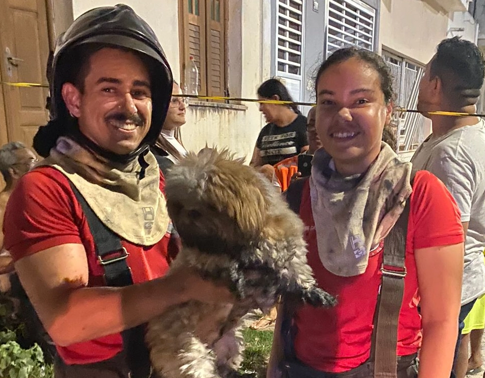 Bombeiros resgatam cachorro de casa em chamas na Bahia