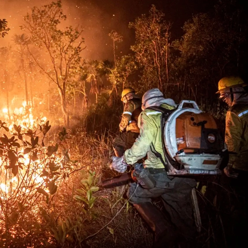 Brasil teve 11,39 milhões de hectares atingidos pelo fogo este ano