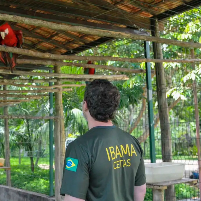 Servidores do meio ambiente decidem entrar em greve no dia 24