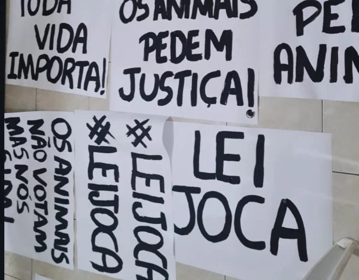 Caso Joca: Tutores de cães realizam protesto no aeroporto de Salvador