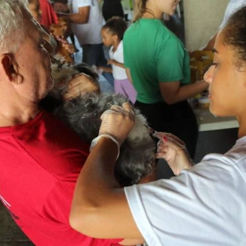 Vacina V10 para cães é oferecida gratuitamente no Parque da Cidade