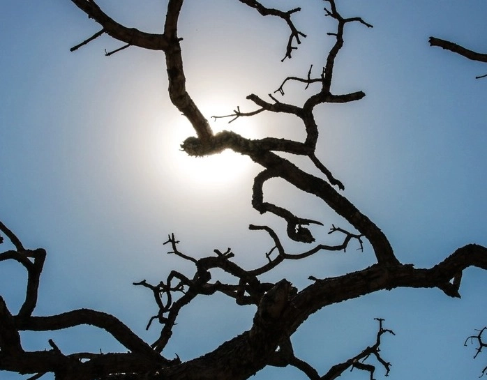 Temperatura deve chegar à casa dos 32 graus em Salvador nesta semana