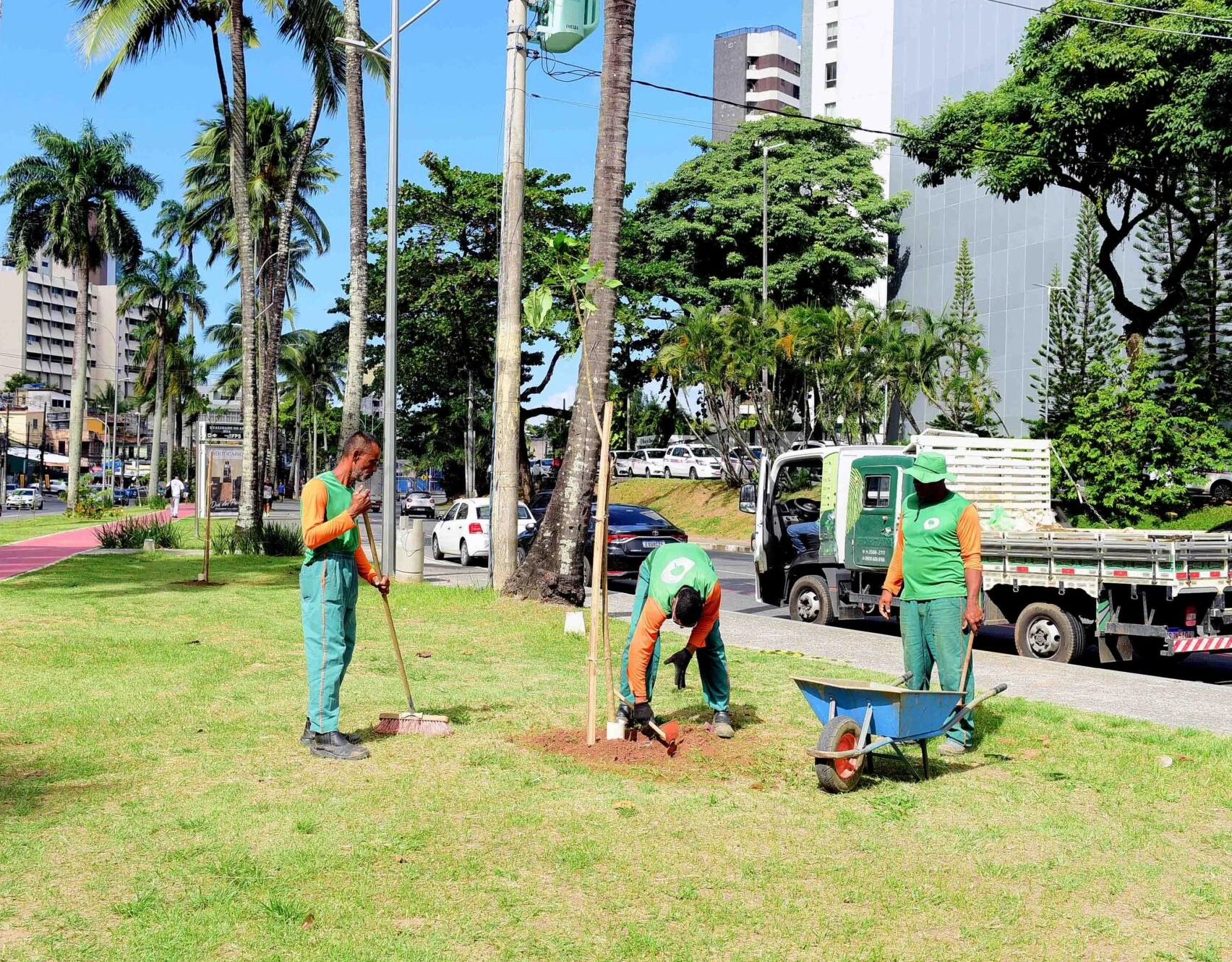 Salvador recebe plantio de 1,2 mil mudas no Dia da Mata Atlântica