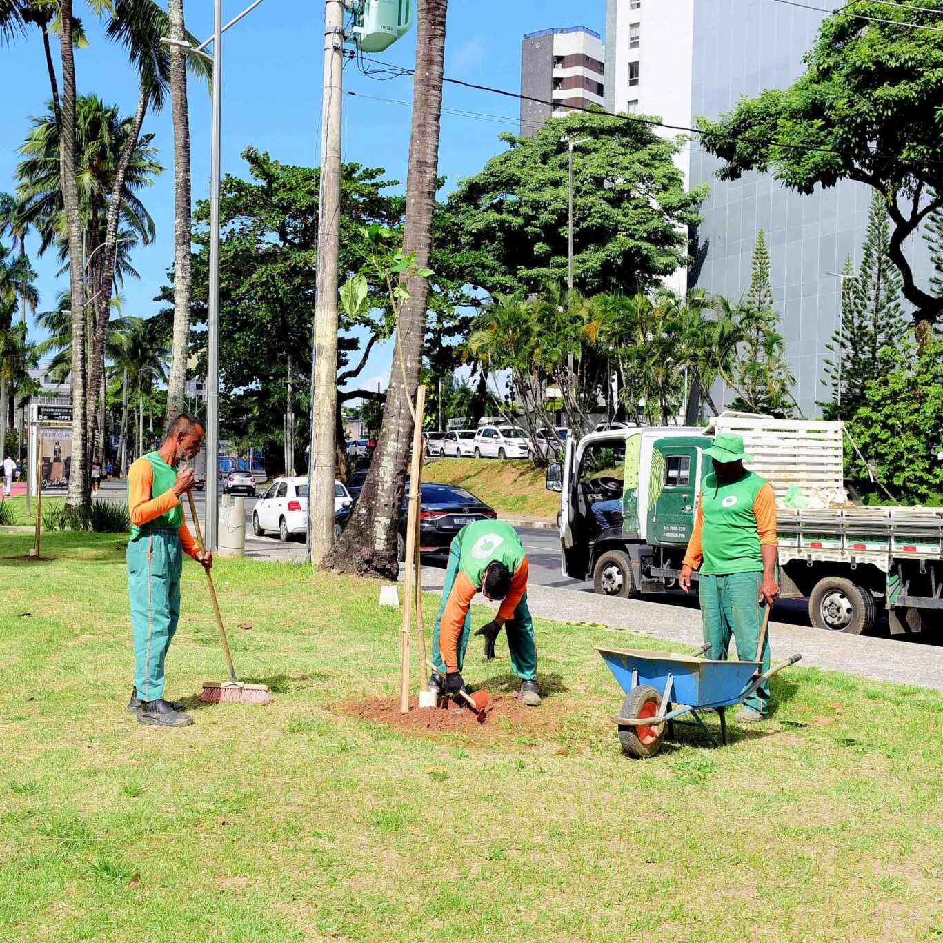 Salvador recebe plantio de 1,2 mil mudas no Dia da Mata Atlântica