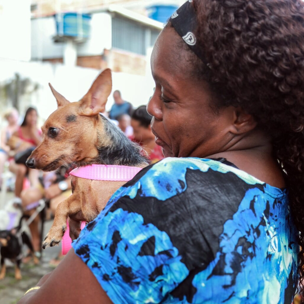 Unidade de castração atende gratuitamente animais da região de Cajazeiras; saiba mais