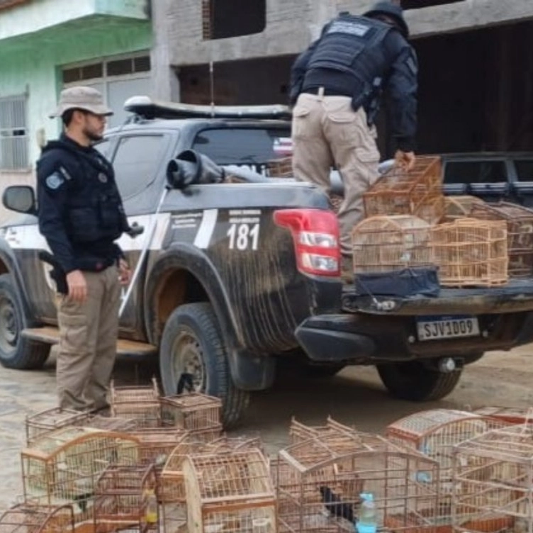 Operação prende quadrilha de tráfico de animais silvestres na Bahia