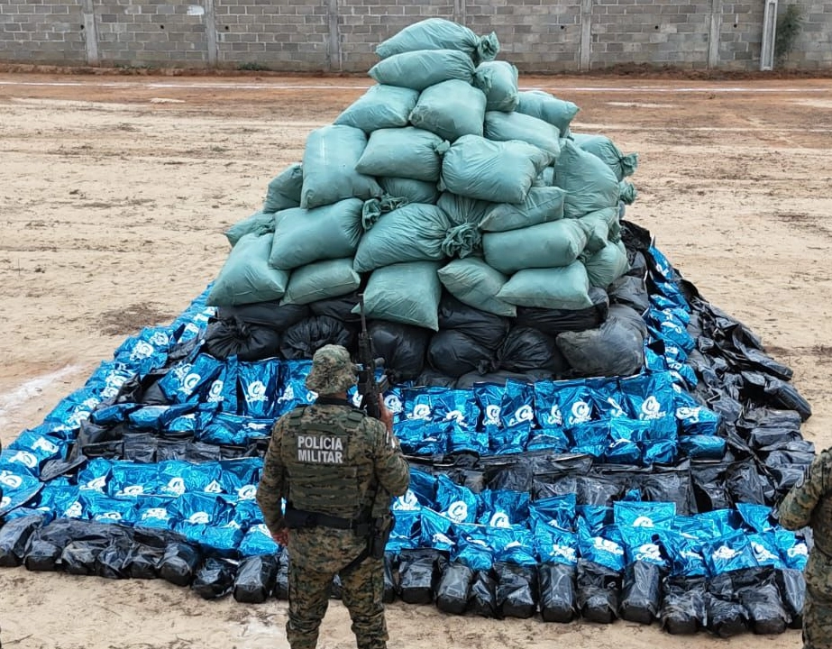 PM acha roça com 4,5 toneladas de maconha na Bahia
