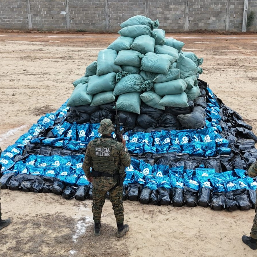 PM acha roça com 4,5 toneladas de maconha na Bahia