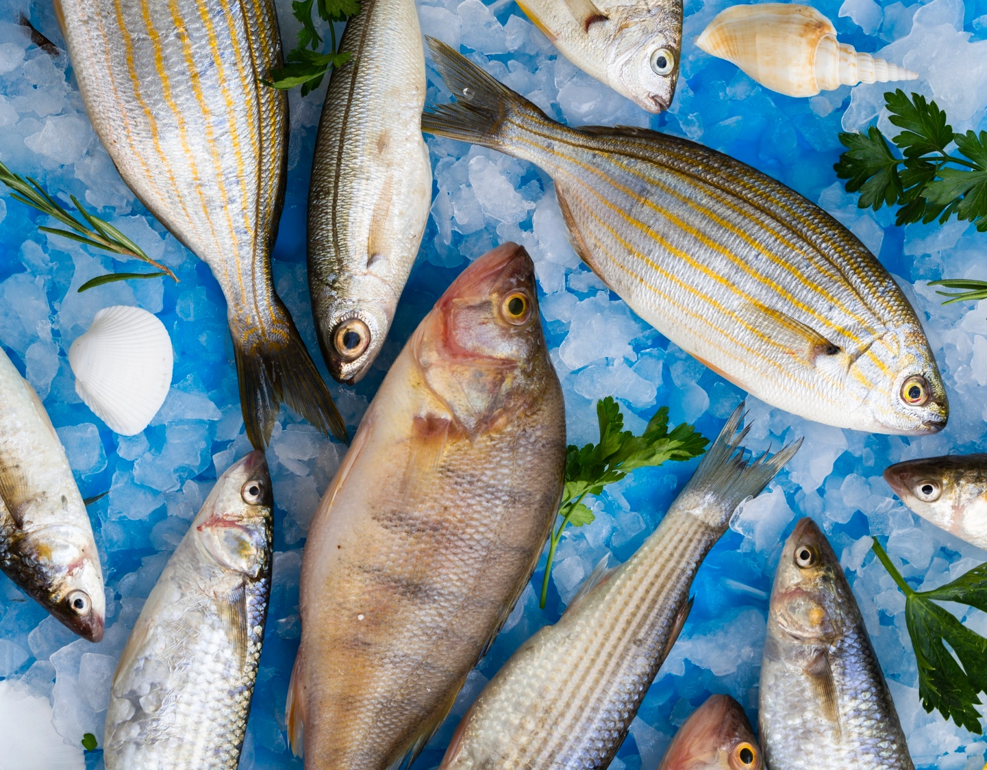 Nutricionista explica como escolher o peixe para o almoço da Semana Santa