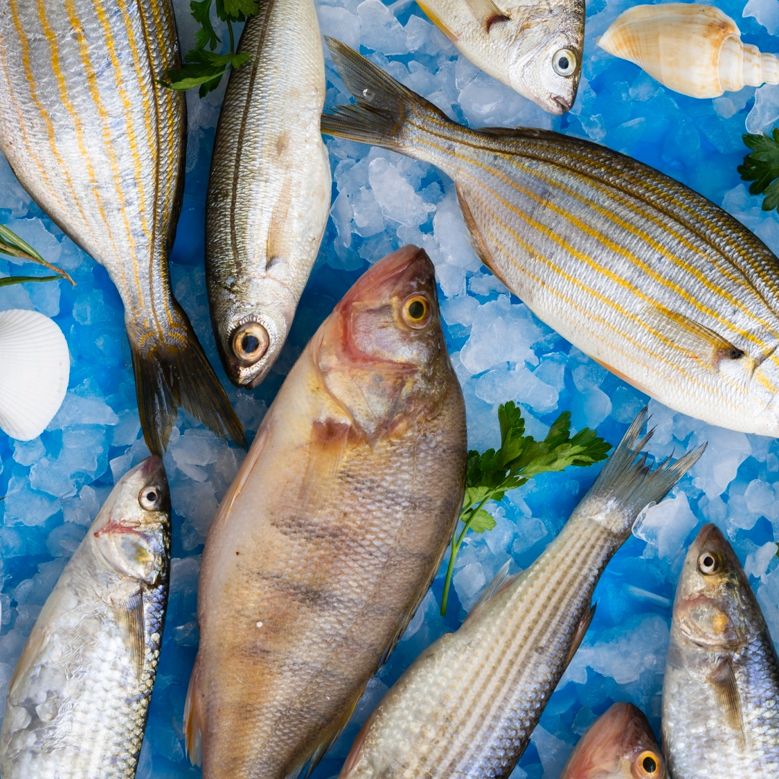 Nutricionista explica como escolher o peixe para o almoço da Semana Santa