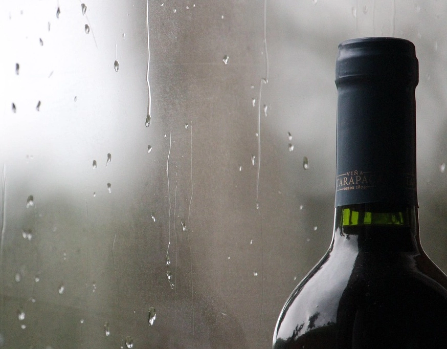 Vinhos em Harmonia - Final de semana chuvoso, qual rótulo escolher?