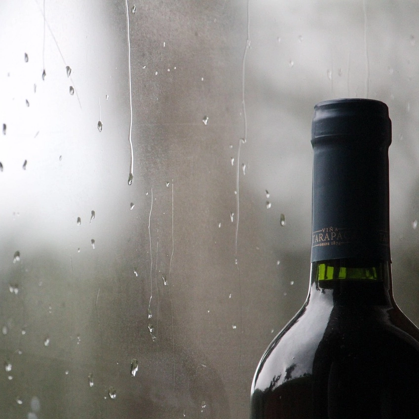Vinhos em Harmonia - Final de semana chuvoso, qual rótulo escolher?
