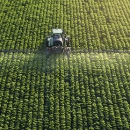 Abertas vagas para curso gratuito na área do agronegócio; saiba como se inscrever