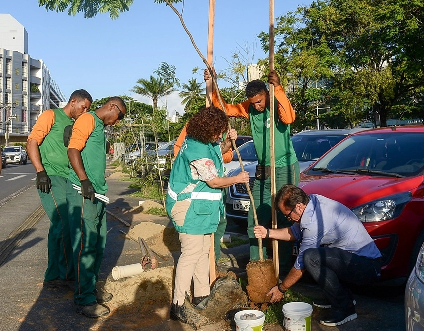 Operação plantio-chuva 2025 bate recorde de árvores plantadas em Salvador