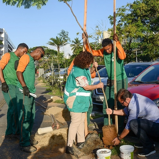 Operação plantio-chuva 2025 bate recorde de árvores plantadas em Salvador