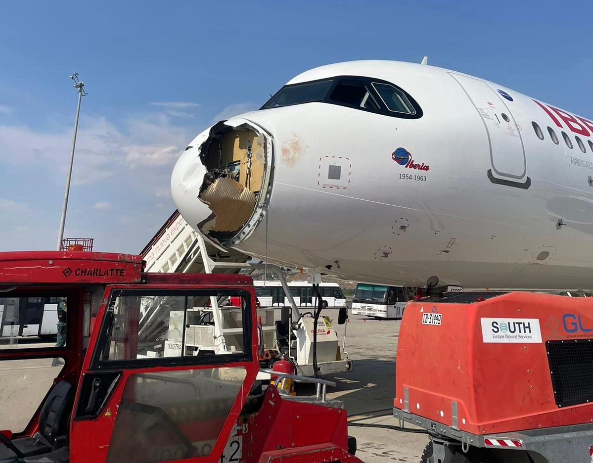 Avião colide com aves e faz retorno de emergência para aeroporto europeu; veja