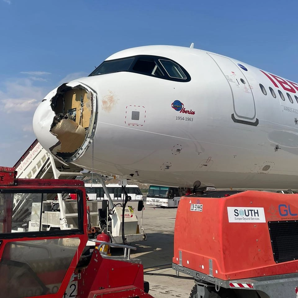 Avião colide com aves e faz retorno de emergência para aeroporto europeu; veja