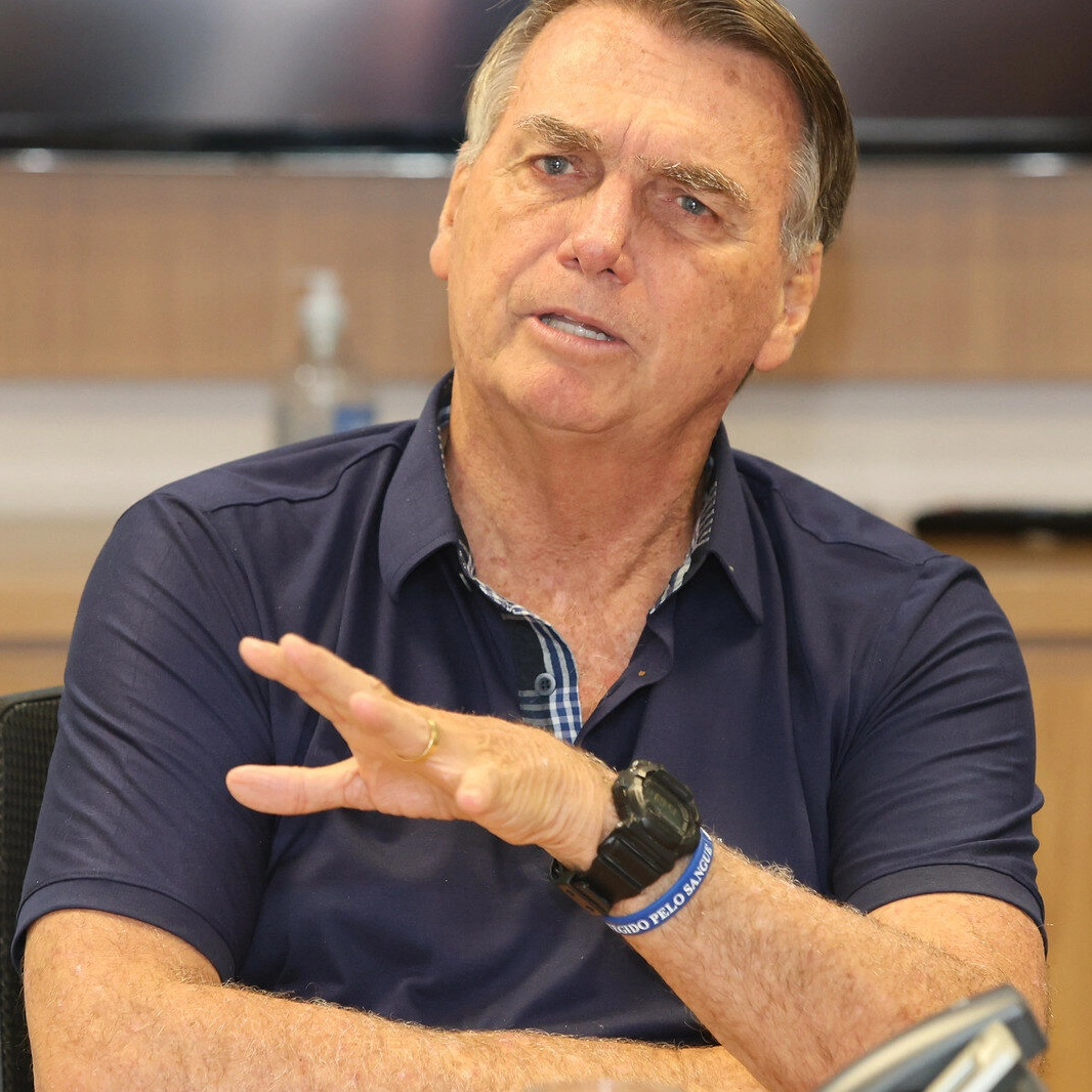 Bolsonaro reclama de multa de R$ 2,5 mil do Ibama por importunar baleia