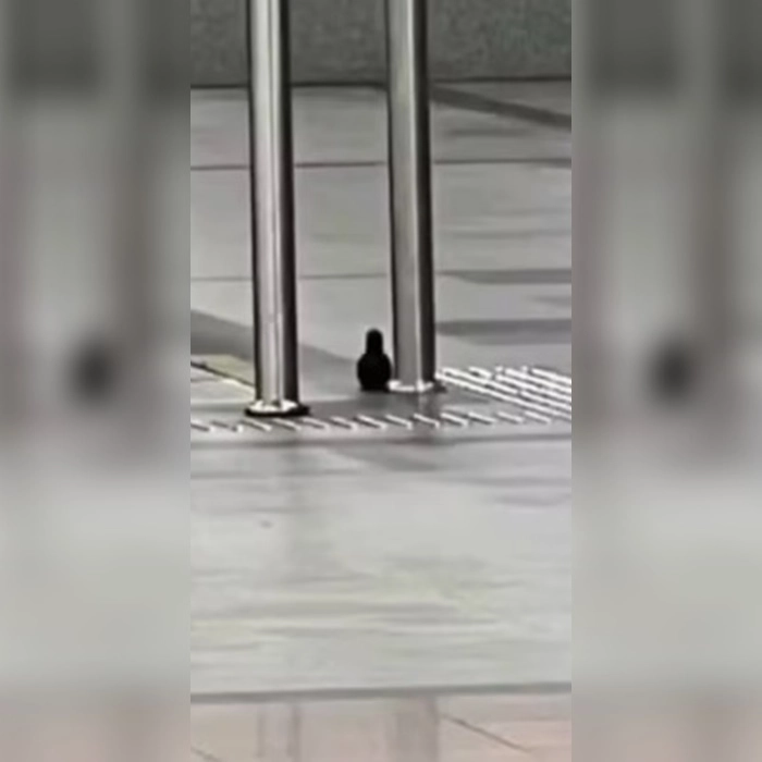 Ameaça de bomba no Aeroporto de Salvador interdita parte do desembarque