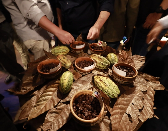 Bahia se destaca entre finalistas do Concurso Nacional de Cacau Especial