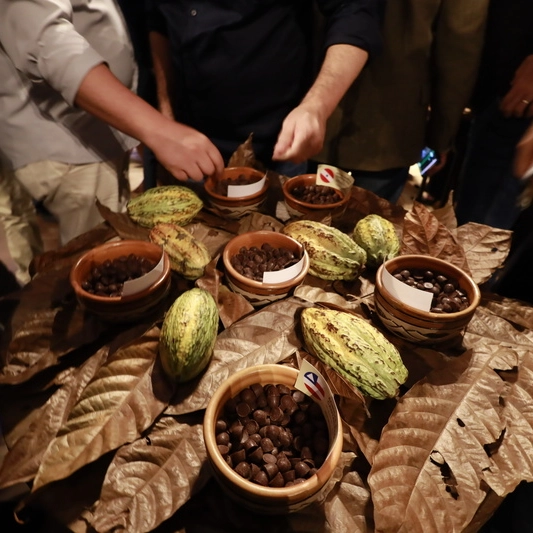 Bahia se destaca entre finalistas do Concurso Nacional de Cacau Especial