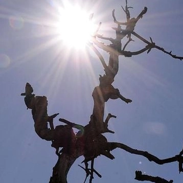 Cinco cidades baianas registram temperaturas acima de 34°C nas últimas 24h