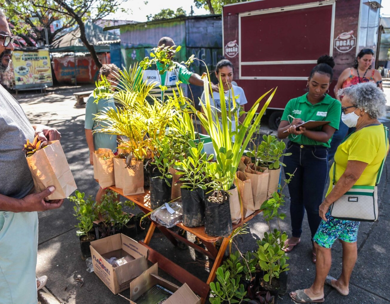 Caravana Mata Atlântica distribui mil mudas gratuitas em Salvador neste domingo