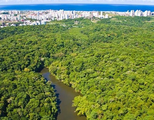 Escola do Legislativo de Salvador promove Trilha ecológica no Rio Cascão, no Cabula