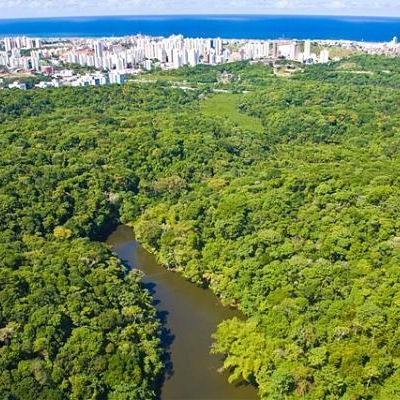 Escola do Legislativo de Salvador promove Trilha ecológica no Rio Cascão, no Cabula