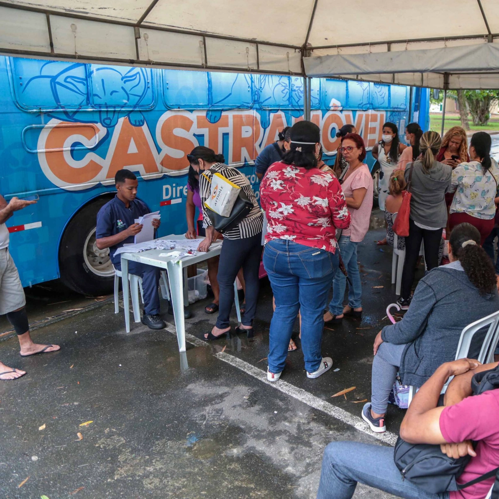 Castramóvel em Pirajá realiza castrações de cães e gatos até 2 de maio