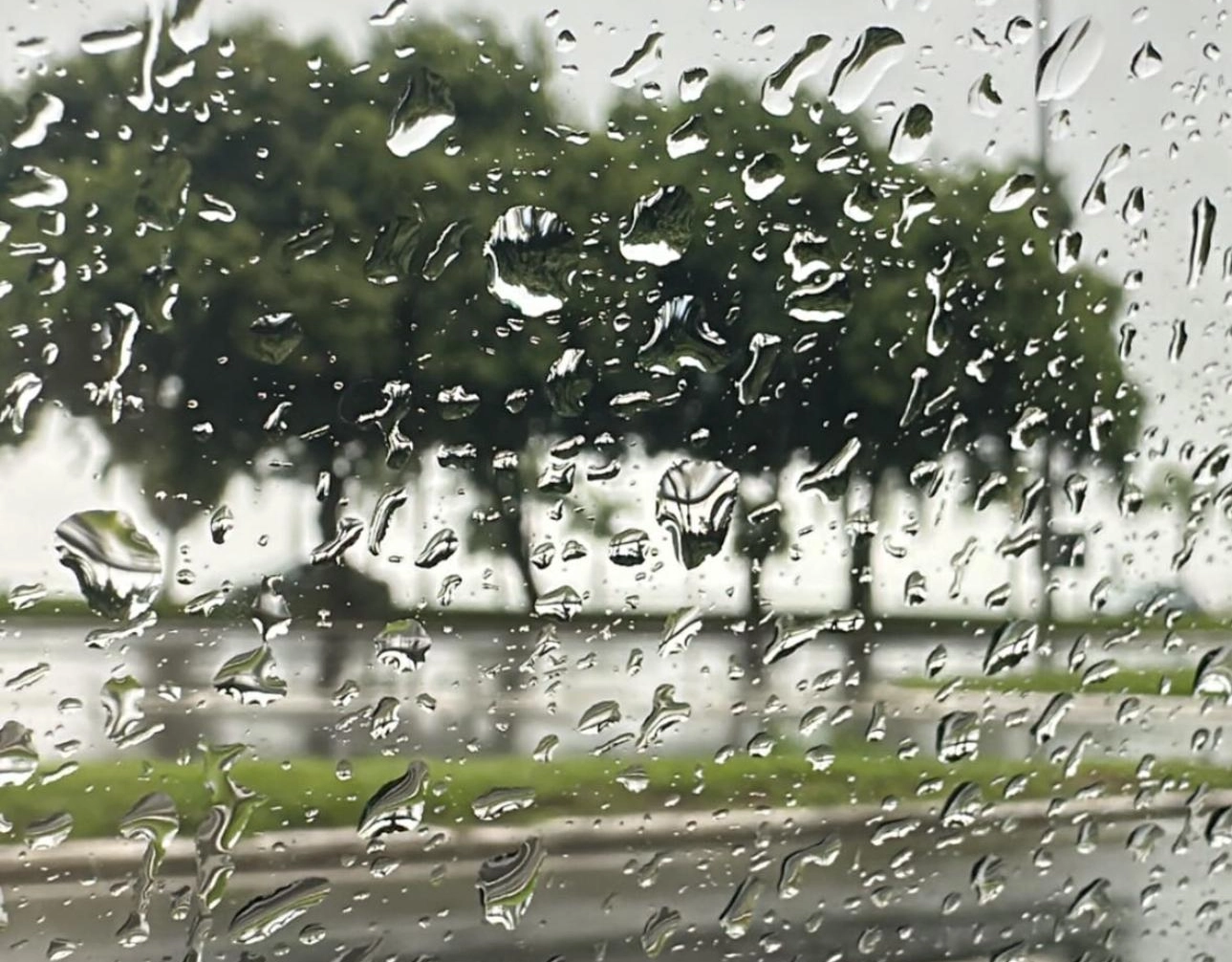 Inmet emite alerta de chuva para mais de 200 cidades da Bahia