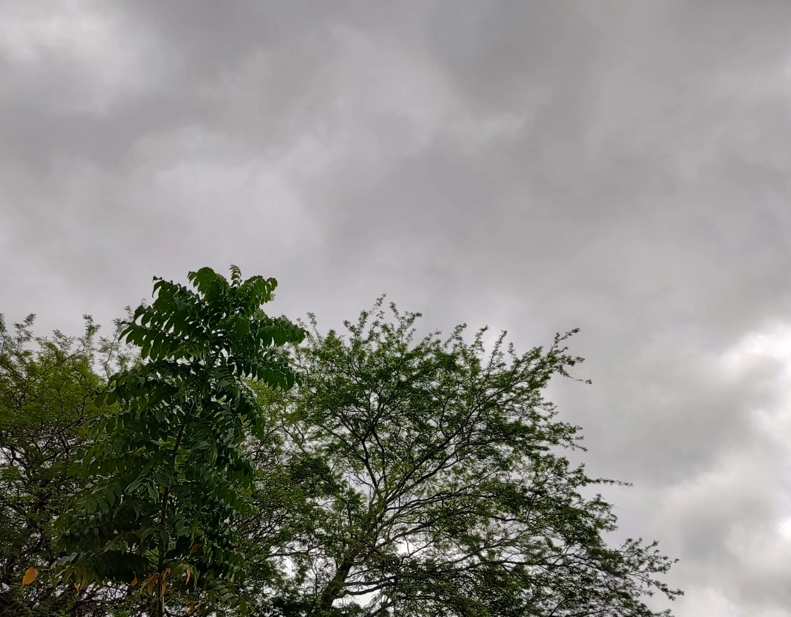 Salvador ultrapassa média histórica de chuva em maio nos primeiros dias do mês