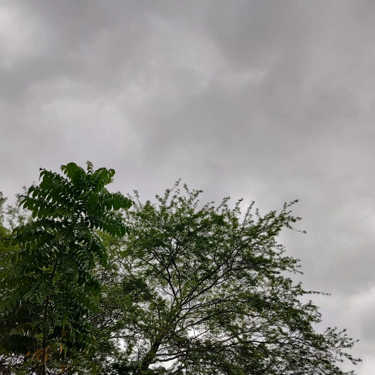 Salvador ultrapassa média histórica de chuva em maio nos primeiros dias do mês