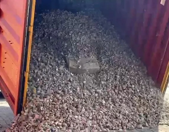 Mais de 500 kg de cocaína são apreendidos no Porto de Salvador