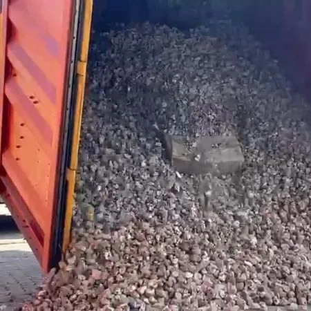Mais de 500 kg de cocaína são apreendidos no Porto de Salvador
