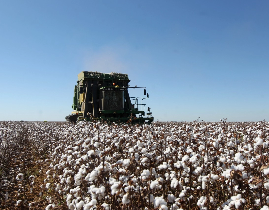 Bahia domina o agronegócio nordestino, com oito cidades entre as 100 mais ricas do agro no Brasil