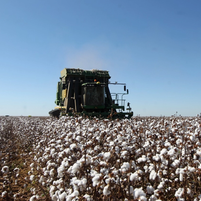 Bahia domina o agronegócio nordestino, com oito cidades entre as 100 mais ricas do agro no Brasil