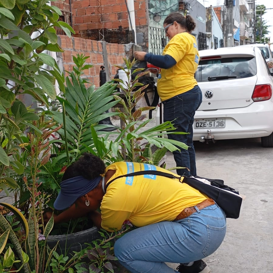 Ações de combate a dengue acontecem neste final de semana em Salvador