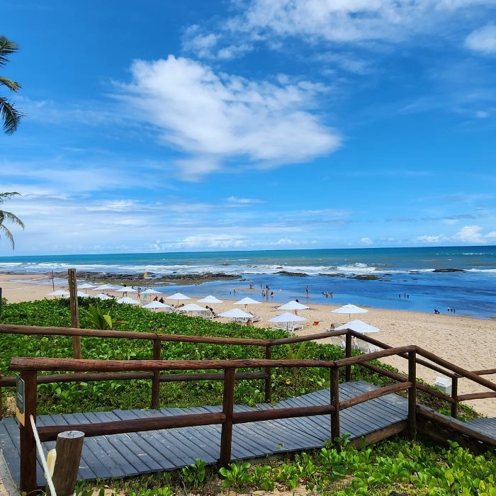 Banhistas encontram mais de R$1 milhão em cocaína na praia de Sauipe