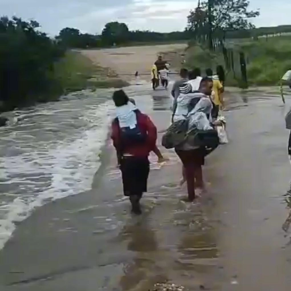 Pais atravessam correnteza com filhos nas costas para chegarem à escola na Bahia: 'Ninguém resolve'