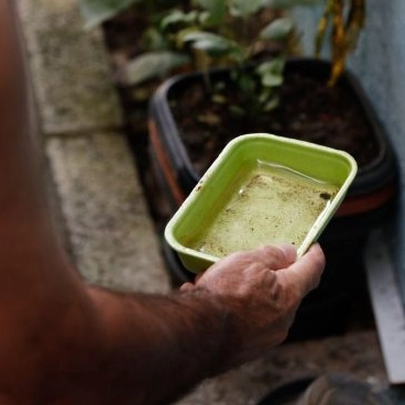 Bahia chega a 30 mortes por dengue; estado tem 265 municípios em epidemia da doença